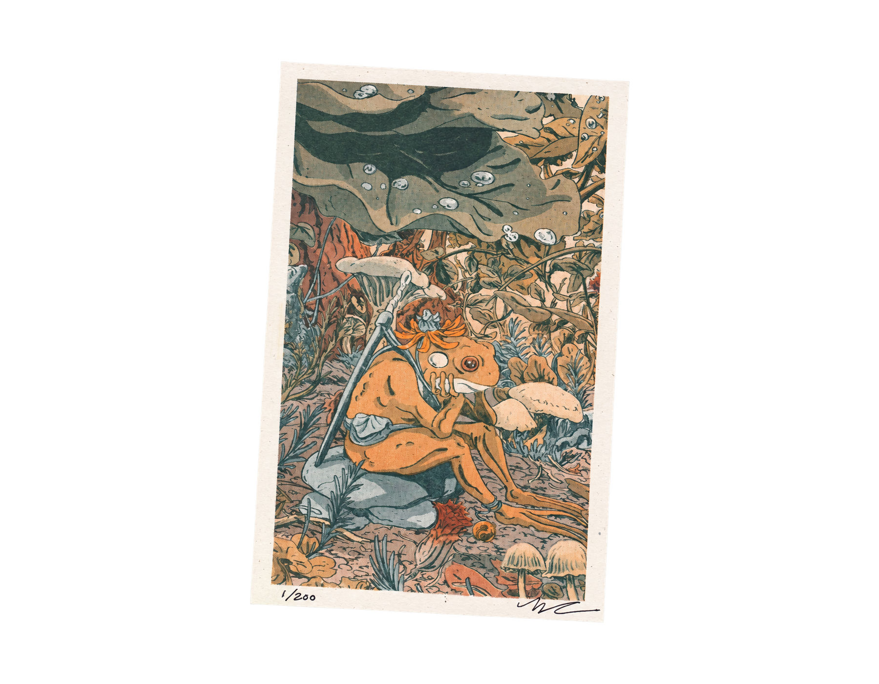 12-Risographie-Le-Conseil-des-Grenouilles
